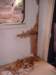 Photo Number 8